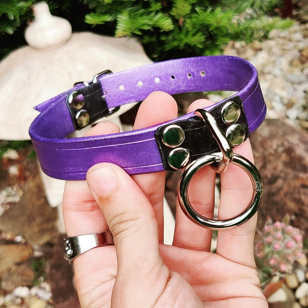 Narrow purple metallic collar