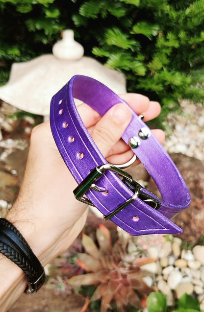 Narrow purple metallic collar