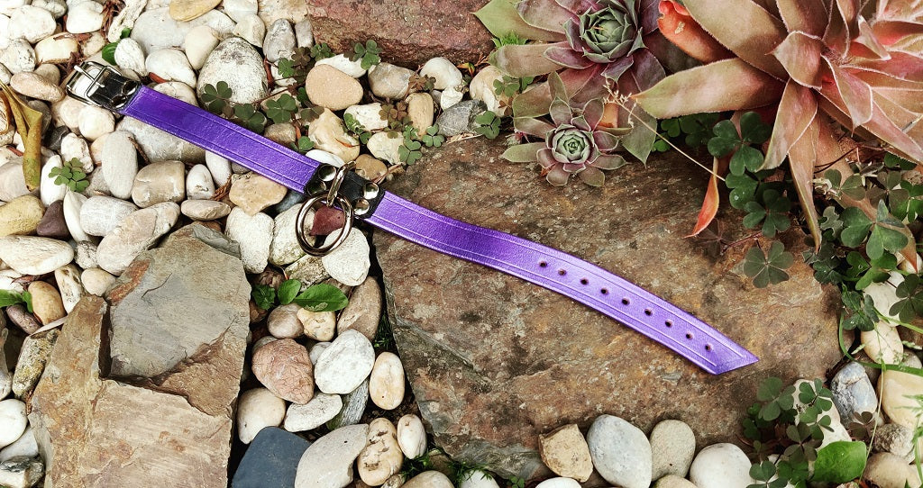 Narrow purple metallic collar